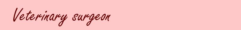 Veterinary surgeon